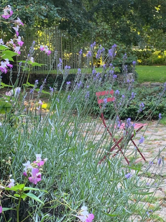 Bed and Breakfast Moulin De Champrond -Montmirail -Sarthe Exterior foto